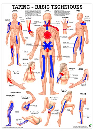 Taping Laminated Fitness Poster - Durable Waterproof Workout Chart for Gym & Home - Perfect for CrossFit, Yoga, and Strength Training