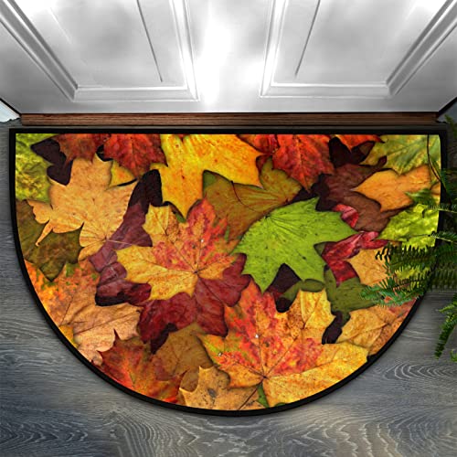 Autumn Maple Leaves