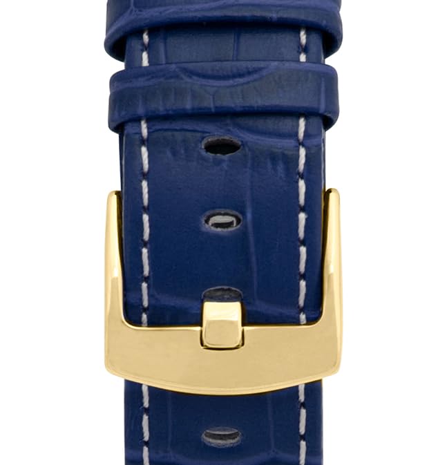 3 - Blue and White / Gold Buckle