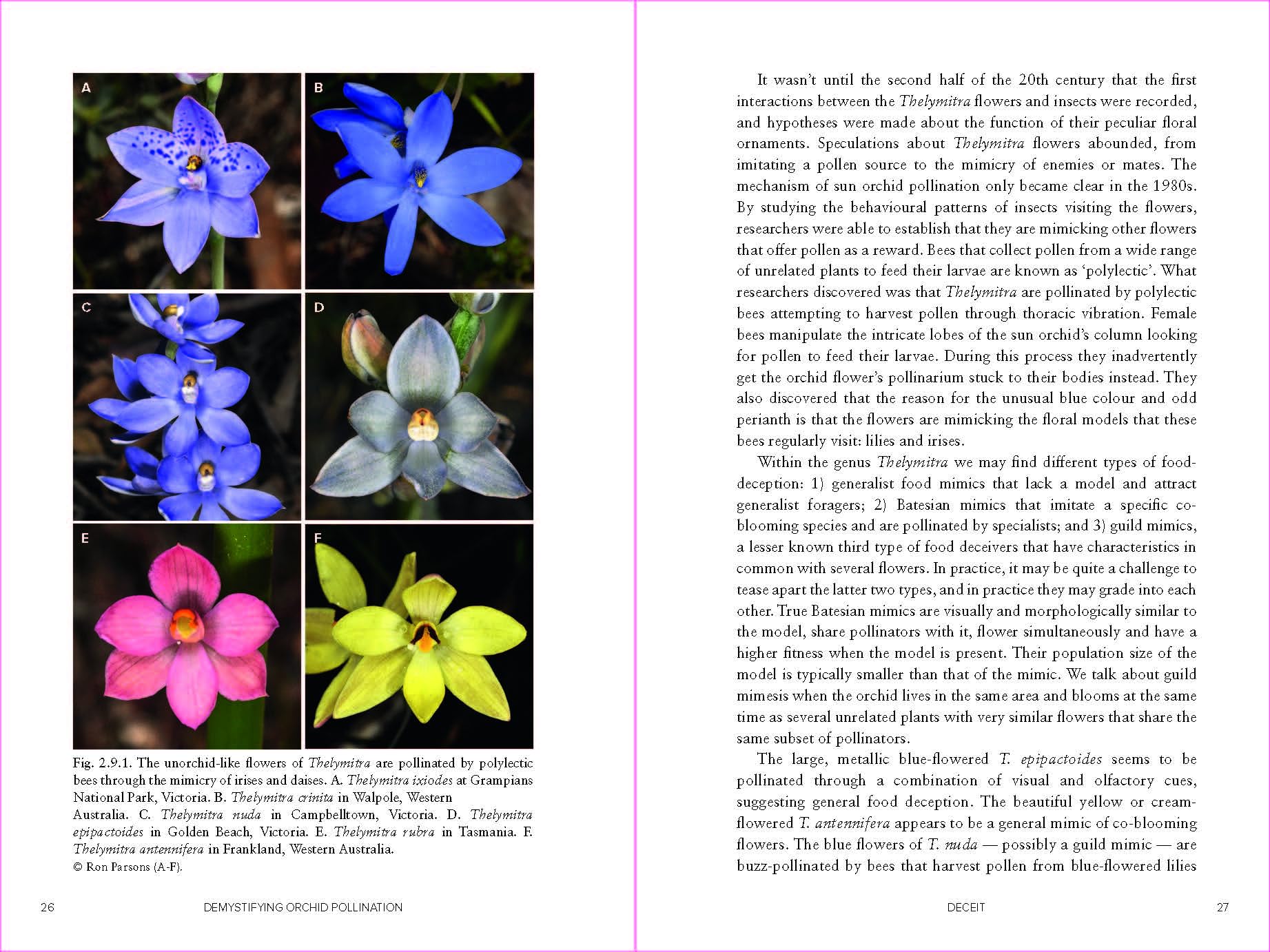 Orchid Pollination Explained: Secrets of Nature's Intriguing Reproduction Process | Perfect for Botany Enthusiasts & Science Educators