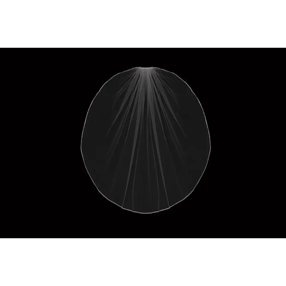 Single Tier Bridal Veil - Elegant Wedding Accessory for Bride (V2399SF) | Perfect for Church Ceremony, Outdoor Wedding & Photography