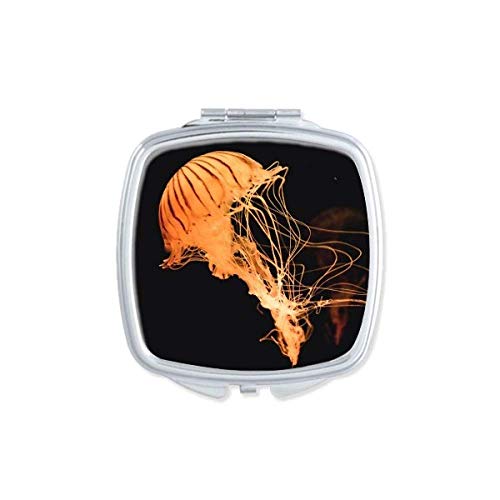 DIYthinker Ocean Jellyfish Science Nature Picture Mirror - Portable Compact Pocket Makeup Mirror with Double Sided Glass - Perfect for Travel, Home Vanity & Gift Giving