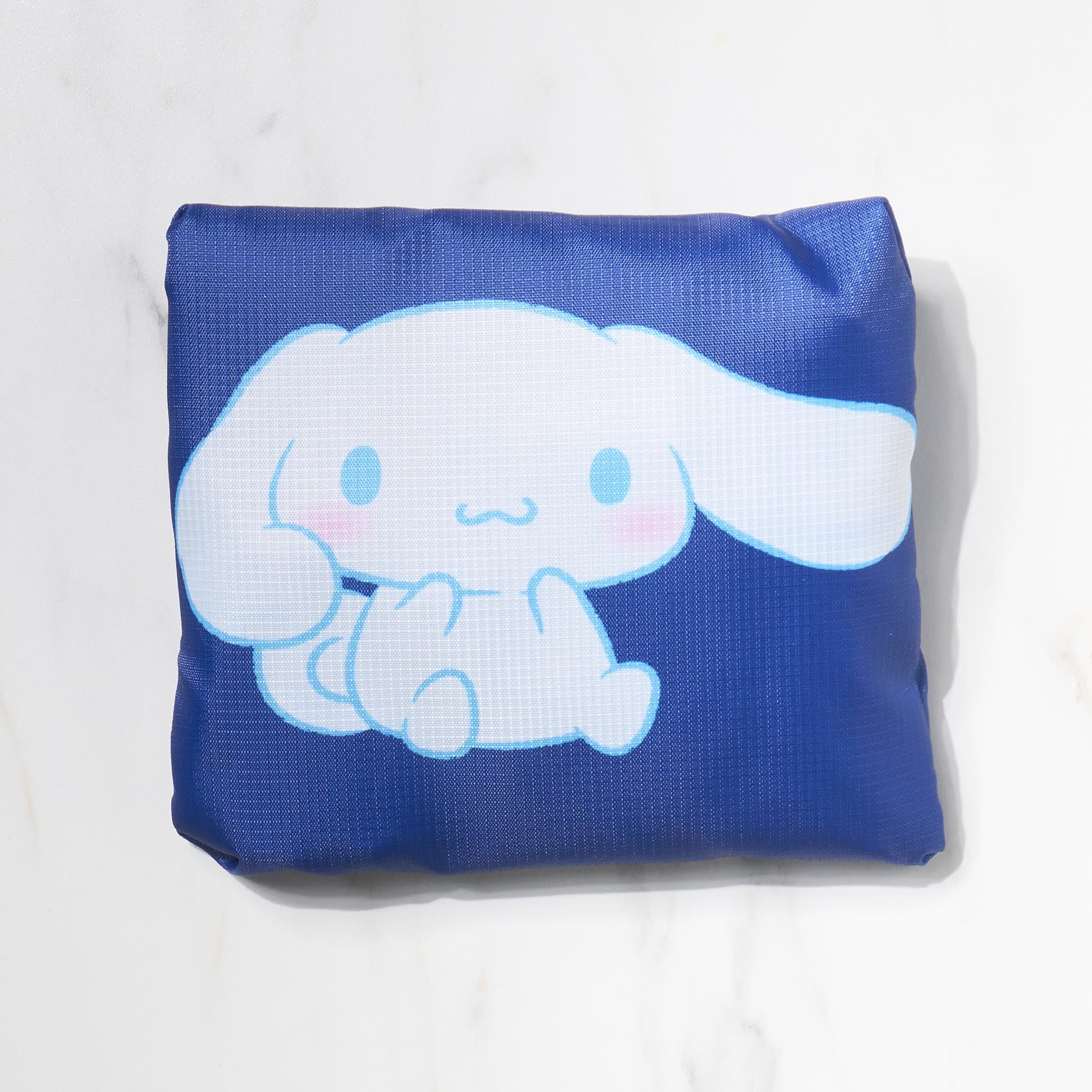 Sanrio Themed Portable Carry On Bag - Lightweight Travel Luggage for Women & Kids - Perfect for Airplane, Road Trips & Weekend Getaways
