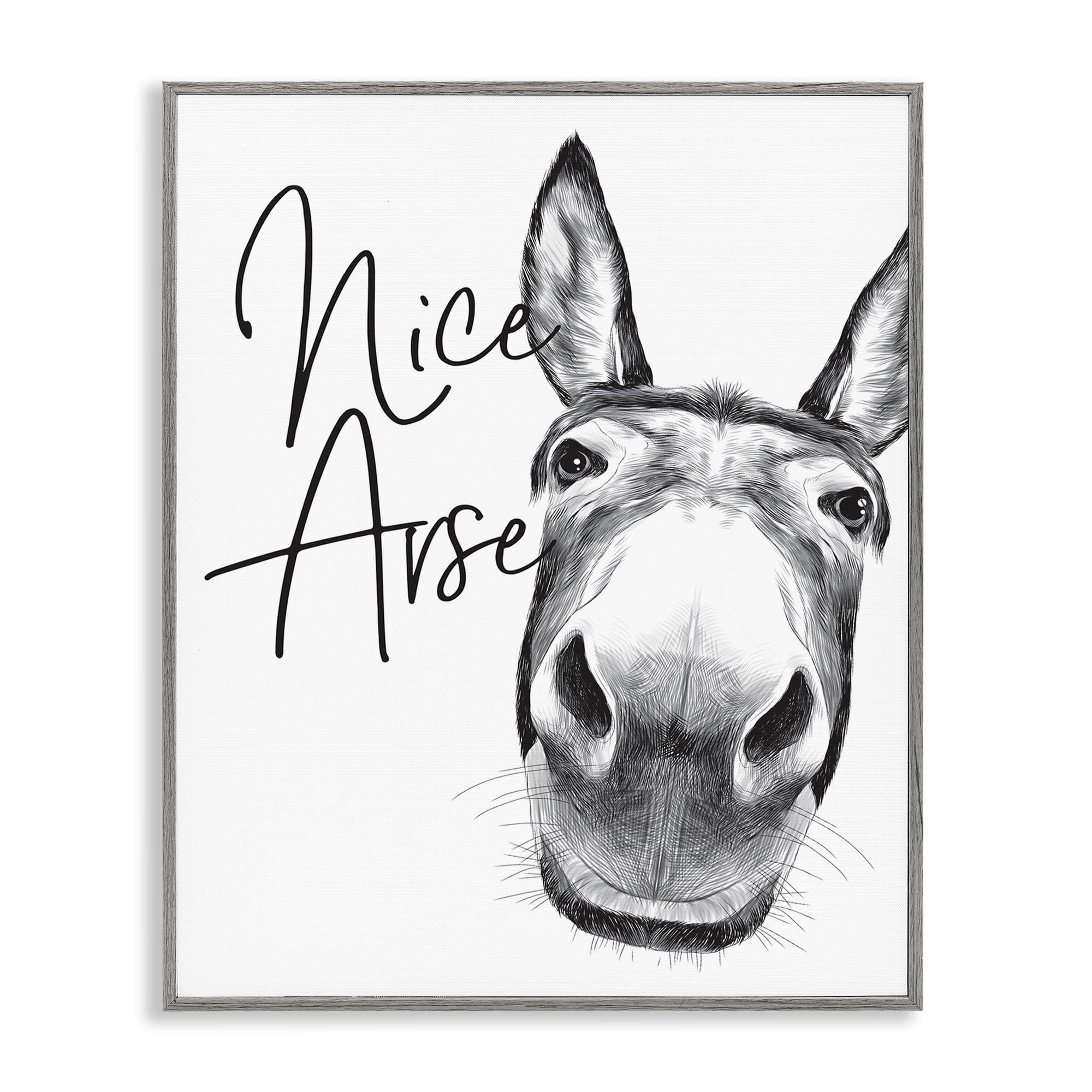 Stupell Industries Funny Donkey Wall Art - 'Nice Arse' Humorous Bathroom Decor - 11x14 Farmhouse Animal Phrase Sign - Perfect for Bathroom, Living Room or Country Home Decor
