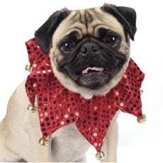 Aria Red Shimmer Scrunchie Dog Collar - Adjustable Pet Accessory for Small Medium Dogs, Fashionable Sparkly Bow for Daily Walks & Special Occasions