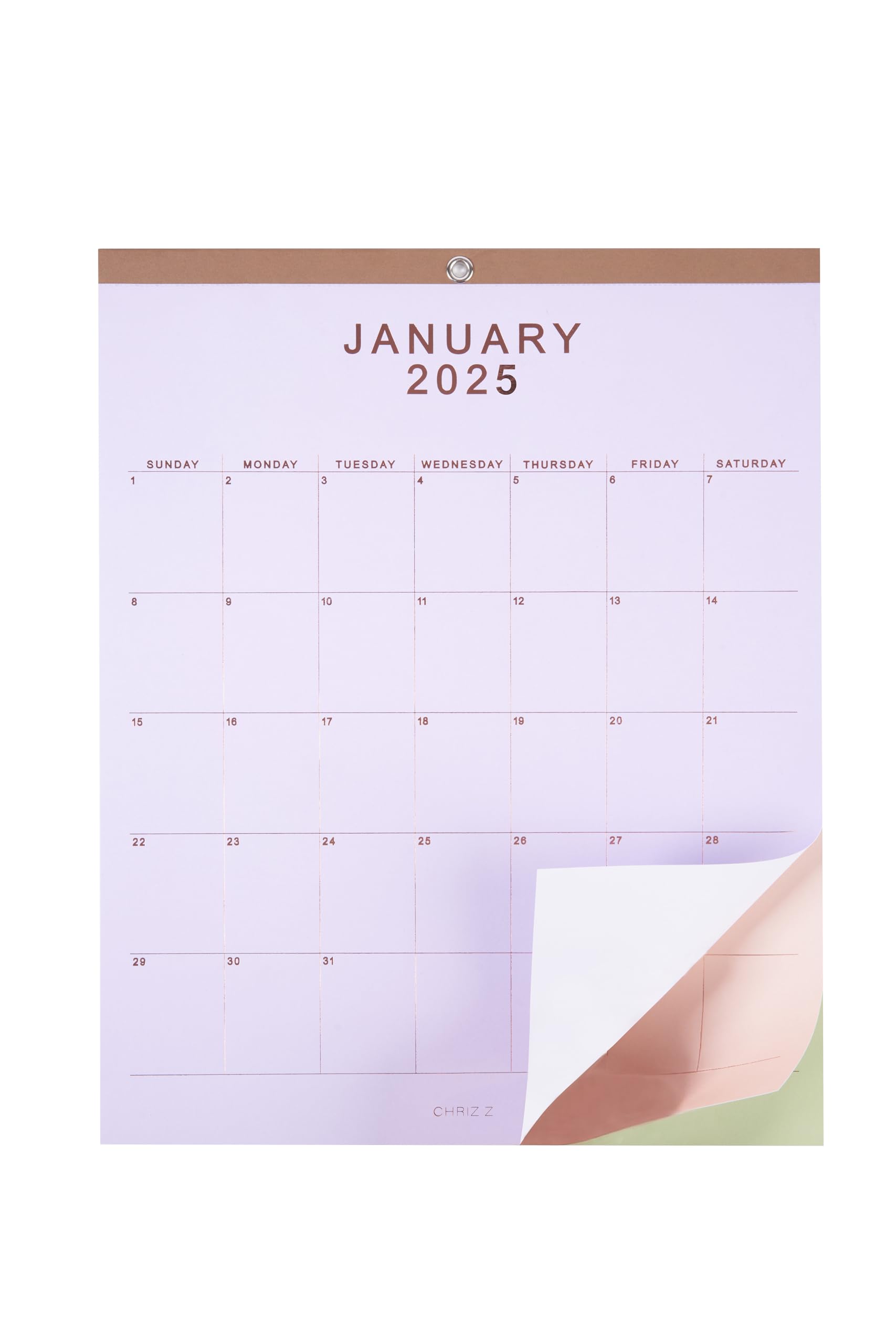 2025 Wall Calendar 12x15 Inches - Elegant Rose Gold Foil Monthly Planner with Peel-Off Pages | Large Print Hanging or Desk Calendar | Pastel Multicolor Paper | Jan-Dec 2025 (5 Colors) - Perfect for Home, Office & Gift Giving