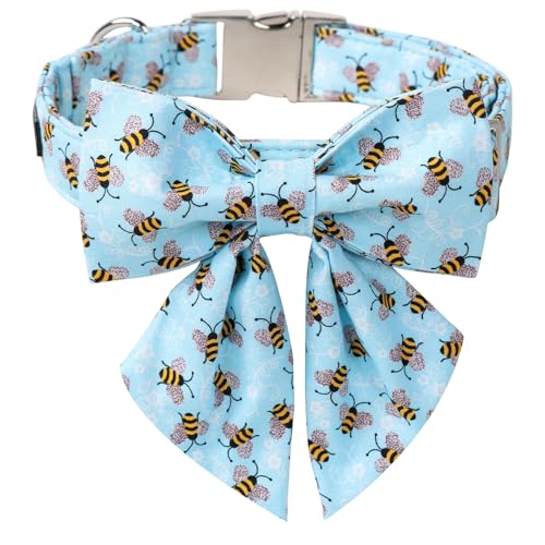 Blue Bee