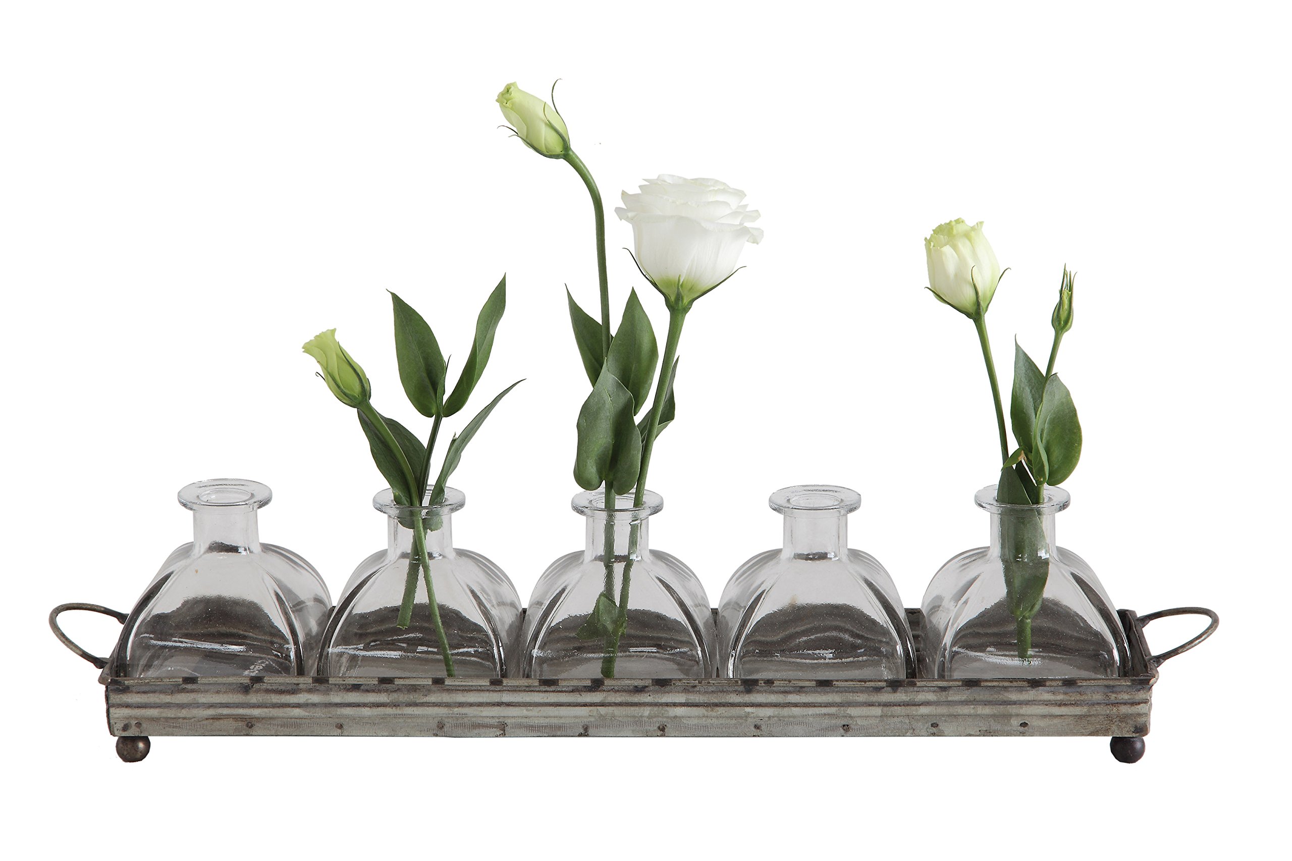 Decorative Iron Rectangle Serving Tray with Handles & 5 Glass Vases - Perfect for Dining Table Centerpiece, Wedding Decor, and Home Organization