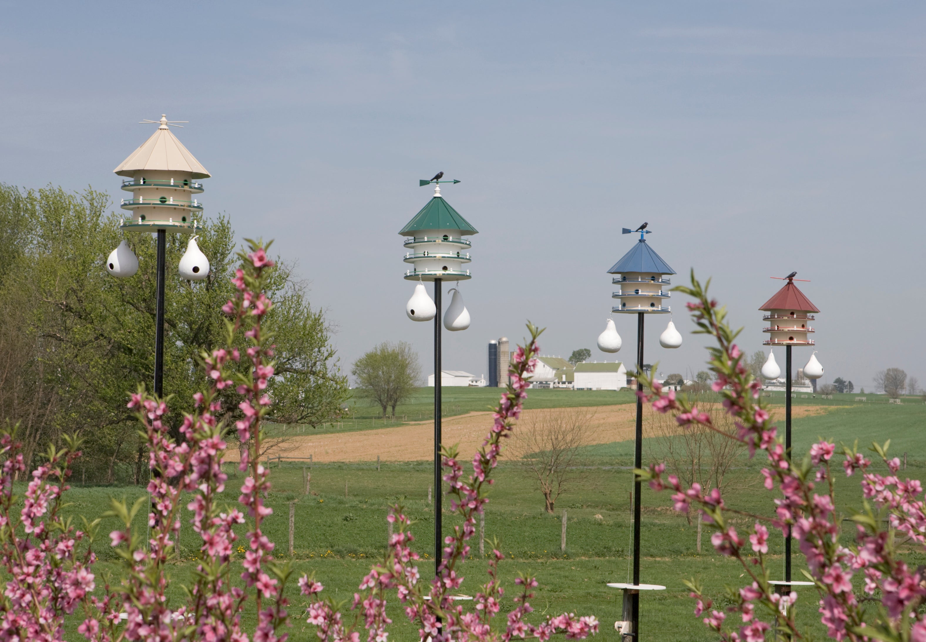Premium Wren Birdhouse - Durable Azek Vinyl Bird Condo with Elegant Copper Roof & Trim - Perfect for Garden, Backyard & Outdoor Bird Watching