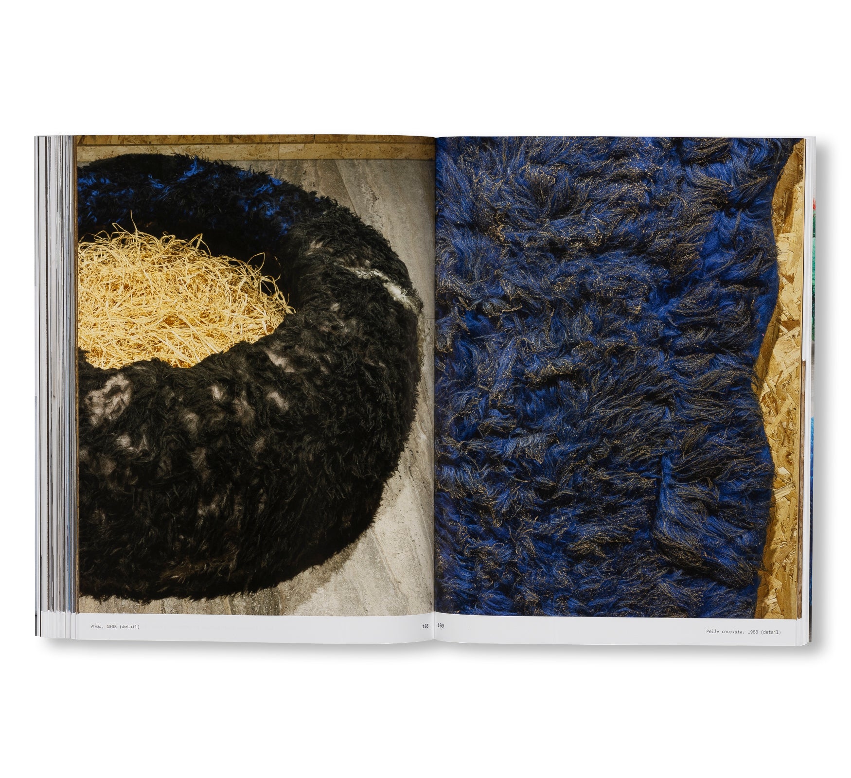 PINO PASCALI by Pino Pascali - Authentic Italian Art & Home Decor for Modern Living Rooms & Offices