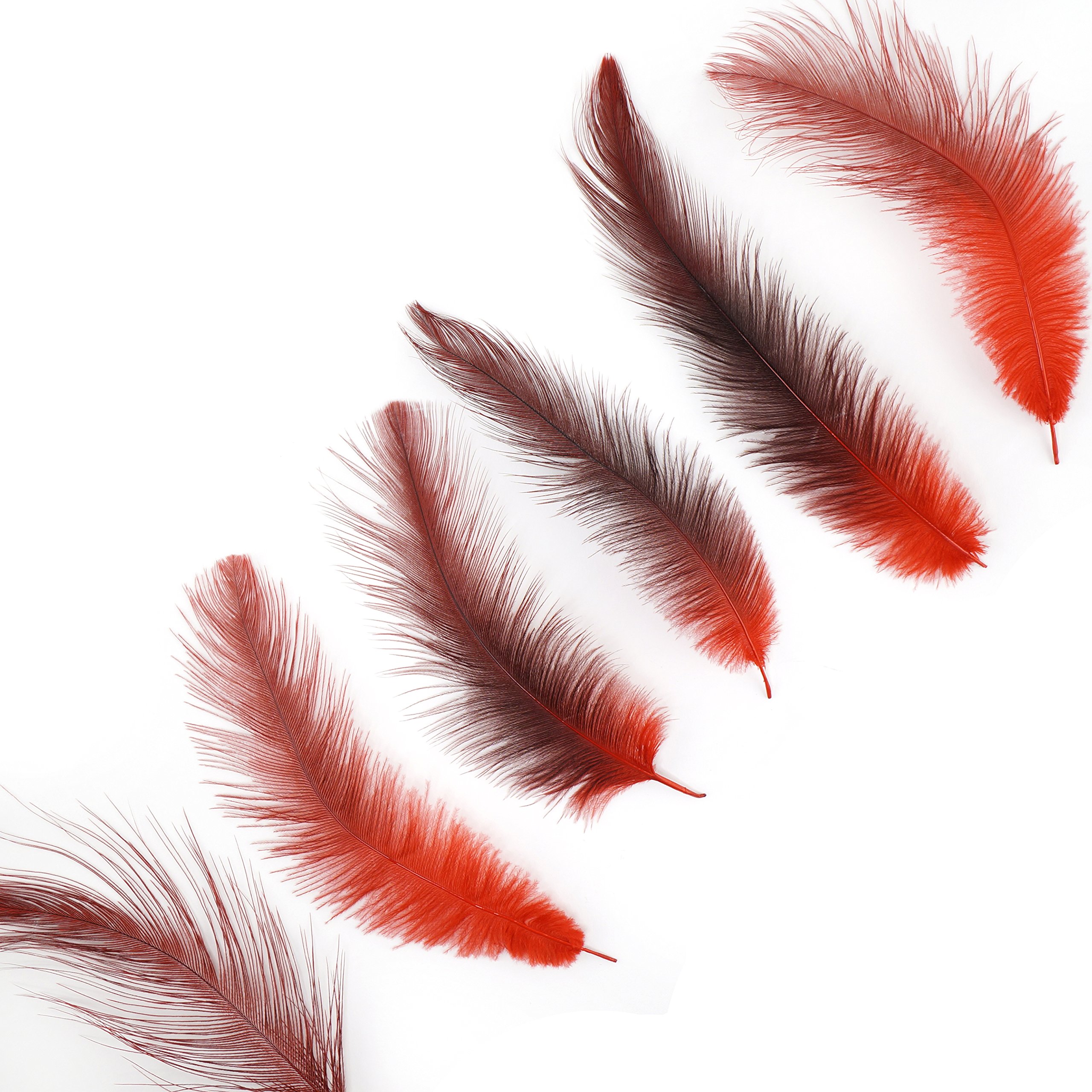 Premium ZUCKER™ Rhea Tail Feathers - Vibrant Red Ostrich Plumes for Costume Design, Fly Tying & Home Decor | Hand-Selected Quality for Crafting, Fashion Accessories & DIY Projects
