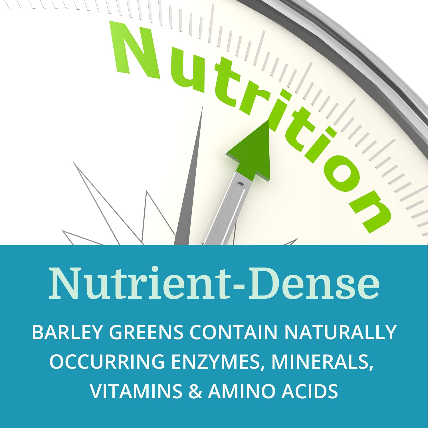 Alka•Green Alkaline Tablets (12 Pack) - Organic Barley Grass Supplement with Enzymes & Amino Acids - Nutrient Dense Superfood for Detox & Energy Boost - Perfect for Daily Wellness & Immune Support