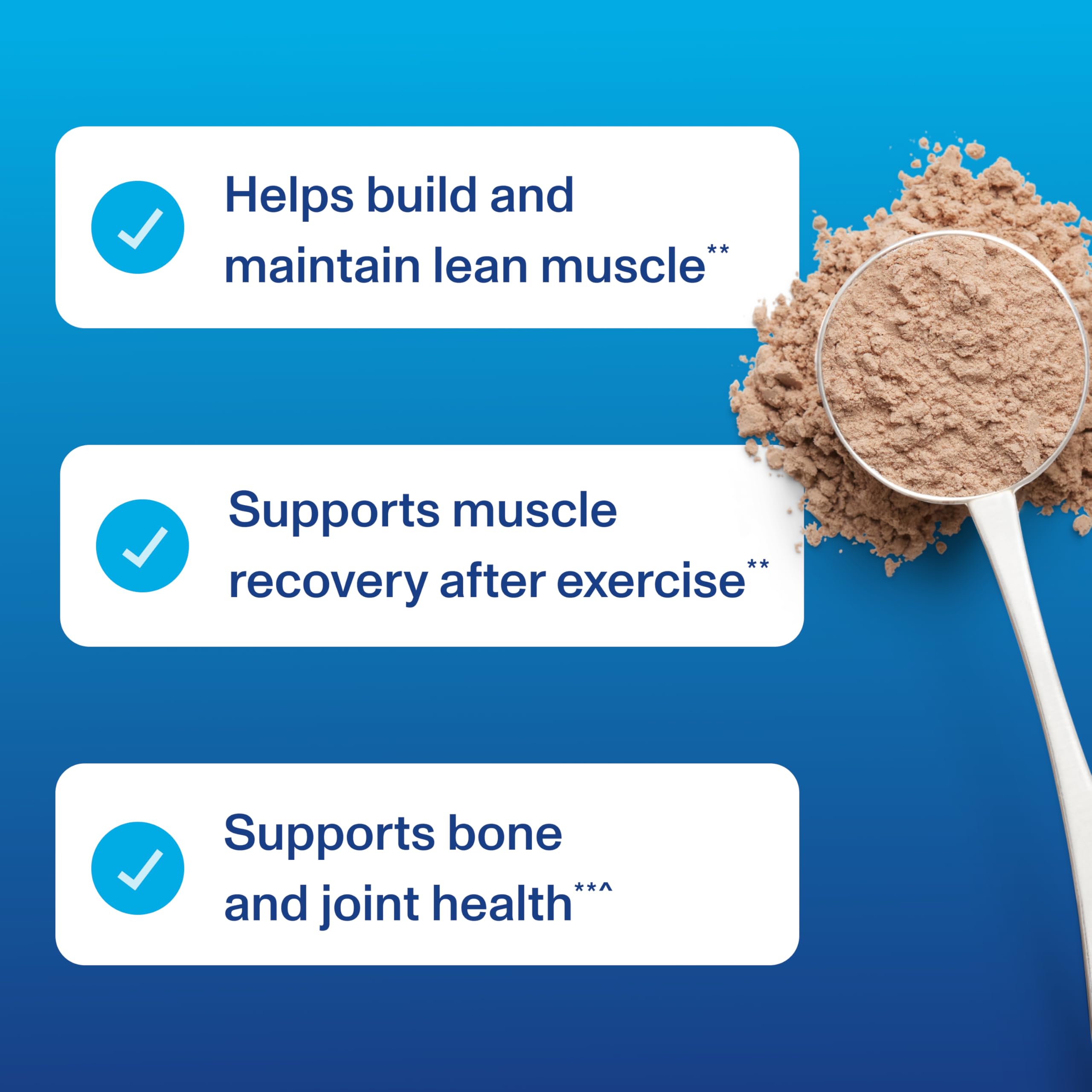 Vital Proteins Whey Protein Powder with Collagen Peptides - 24g Protein for Muscle Recovery & Joint Health, Vitamin C Enriched, Chocolate Flavor (22.8oz, 16 Servings) - Ideal for Post-Workout, Fitness Enthusiasts & Active Lifestyles