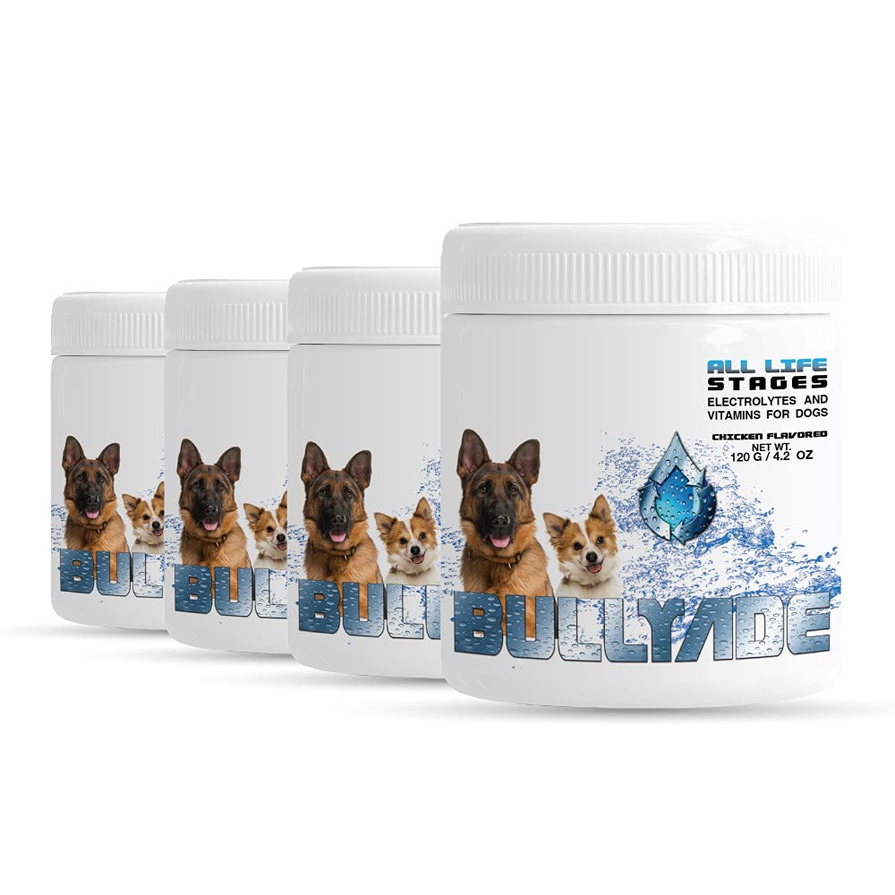 Premium Natural Dog Supplement with 18 Essential Vitamins, Minerals & Electrolytes - Chicken Flavor 4 Pack | Mixes Easily with Water or Food | Supports Immune Health, Digestion & Energy for Active Dogs