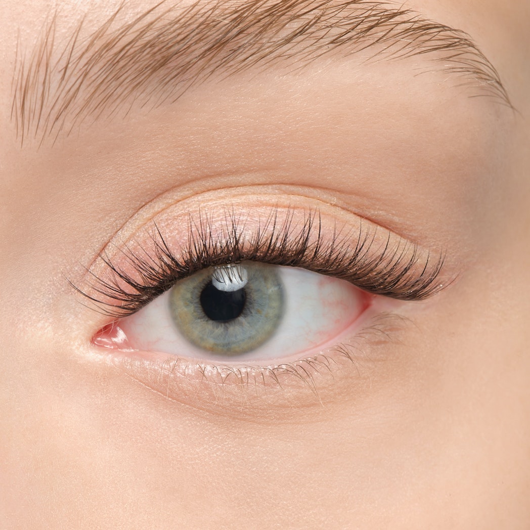 Plushy Gossamer® False Eyelashes - Natural Wispy Lashes for Dramatic Eye Makeup | Perfect for Parties, Weddings & Special Occasions