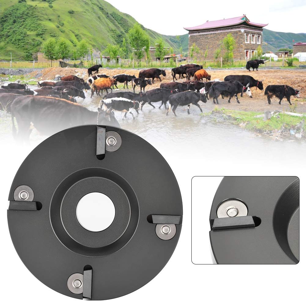 Professional Metal Hoof Trimming Disc Plate Tool for Horses, Sheep, Cattle & Cows - Durable Livestock Hoof Care Equipment for Farm & Ranch Maintenance