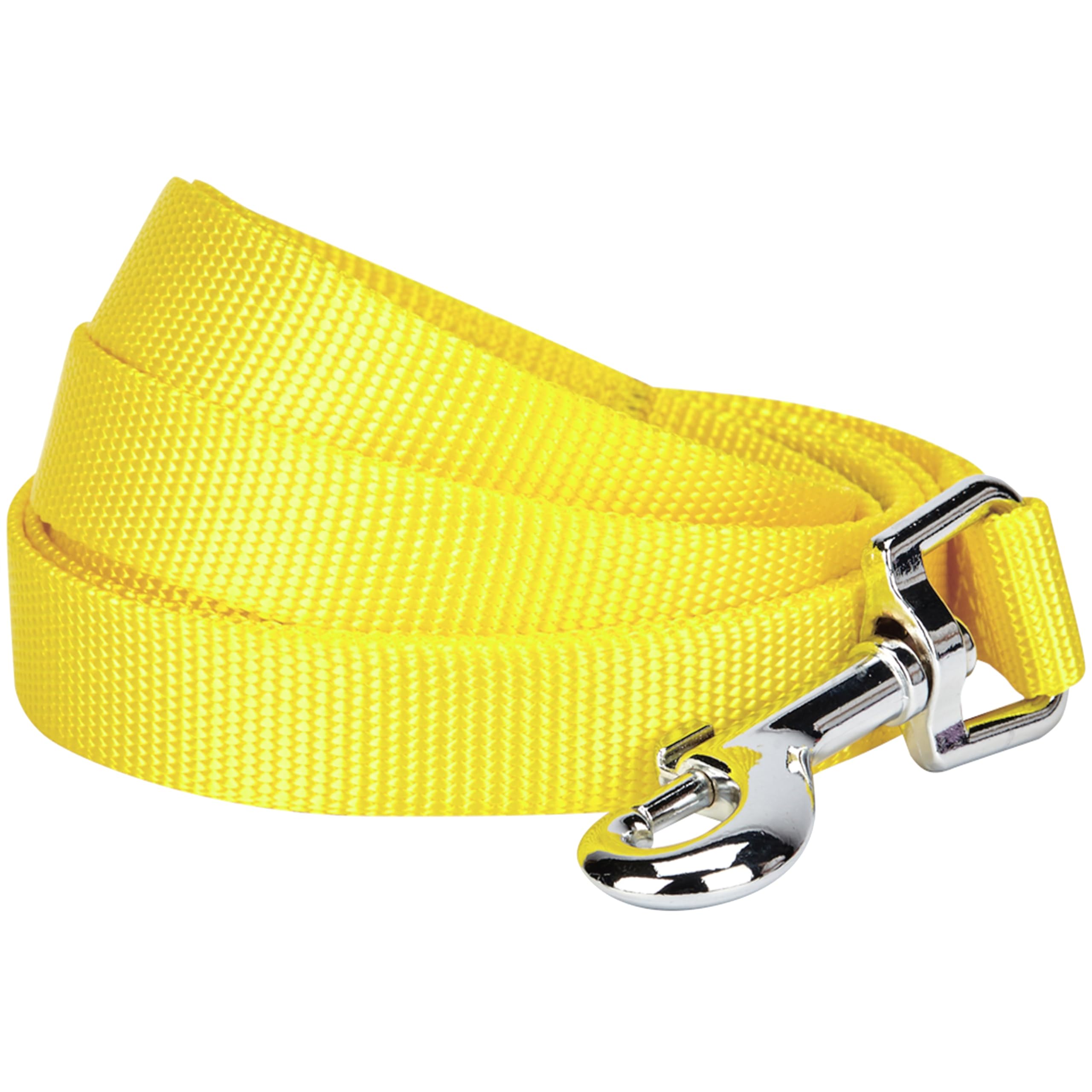 Premium Nylon Dog Leash - 4ft x 1
