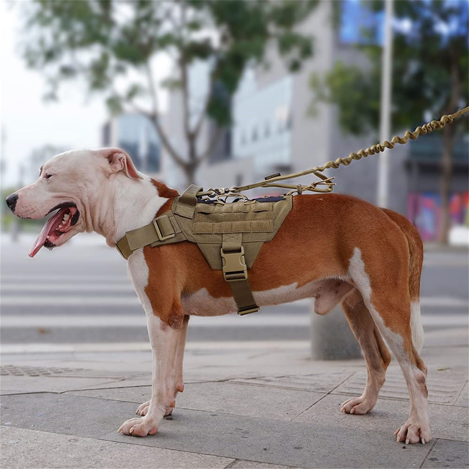 Tactical Military Dog Harness - Adjustable No-Pull Training Vest with Handle for Hunting & Outdoor Activities (Grey, Medium) | Durable Pet Gear for Hiking, Running & Police K9 Work