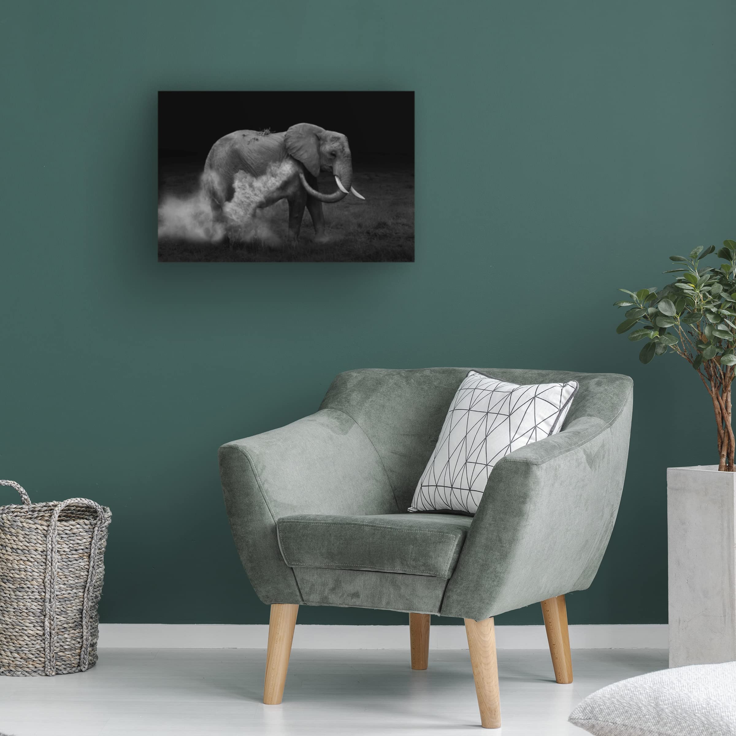 Trademark Fine Art 'Elephant Sand Bathing' Canvas Wall Art Print by Yun Wang - Perfect for Living Room, Bedroom & Office Decor