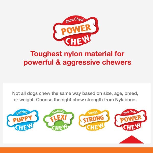 Nylabone Power Chew Broccoli Dog Toy - Durable Chew Toy for Aggressive Chewers - Perfect for Teething Puppies & Strong Dogs - Great for Indoor & Outdoor Play