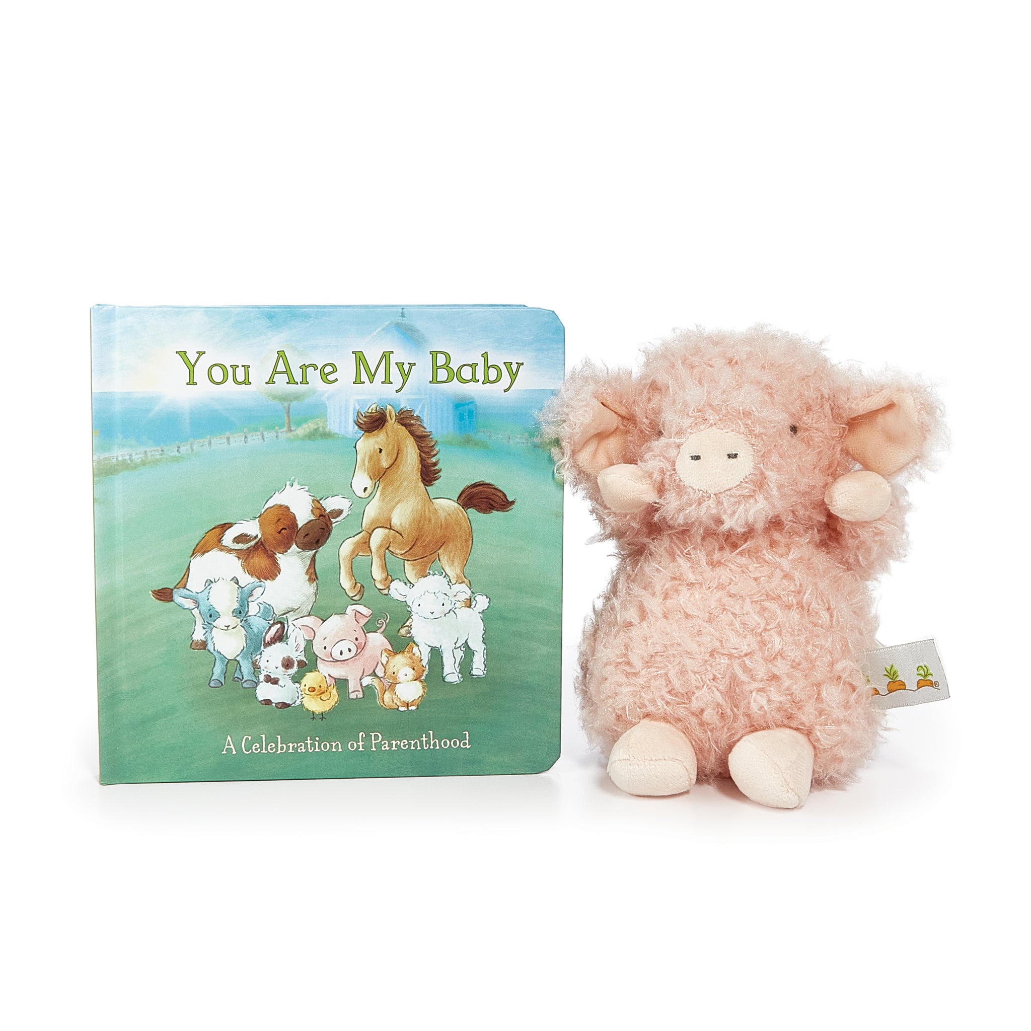 Wee Hammie Book Bundle - Best Baby Books for Early Learning & Storytime - Perfect for Newborns, Toddlers & Preschoolers