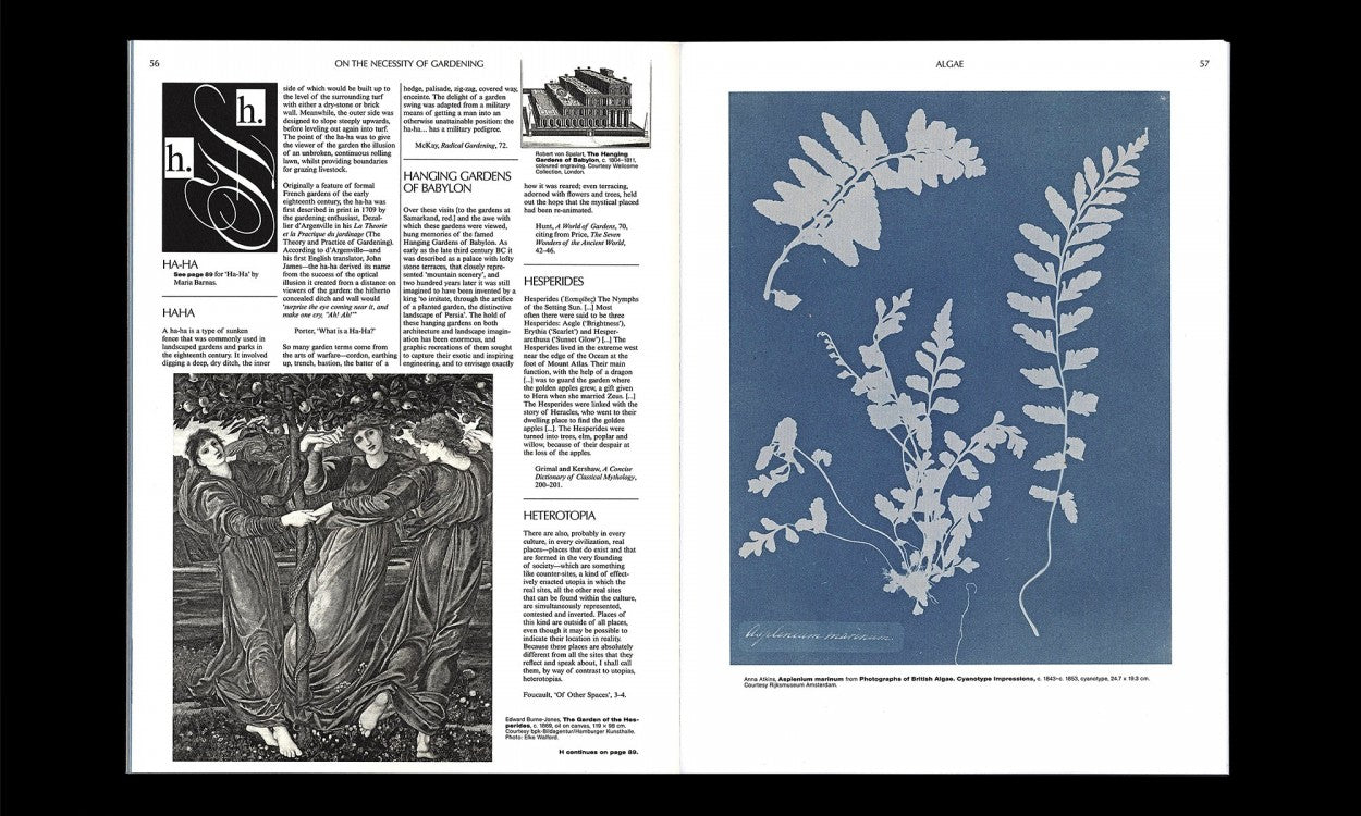The Necessity of Gardening: Art, Botany & Cultivation Guide by Laurie Cluitmans | ABC of Sustainable Gardening for Home & Urban Farming