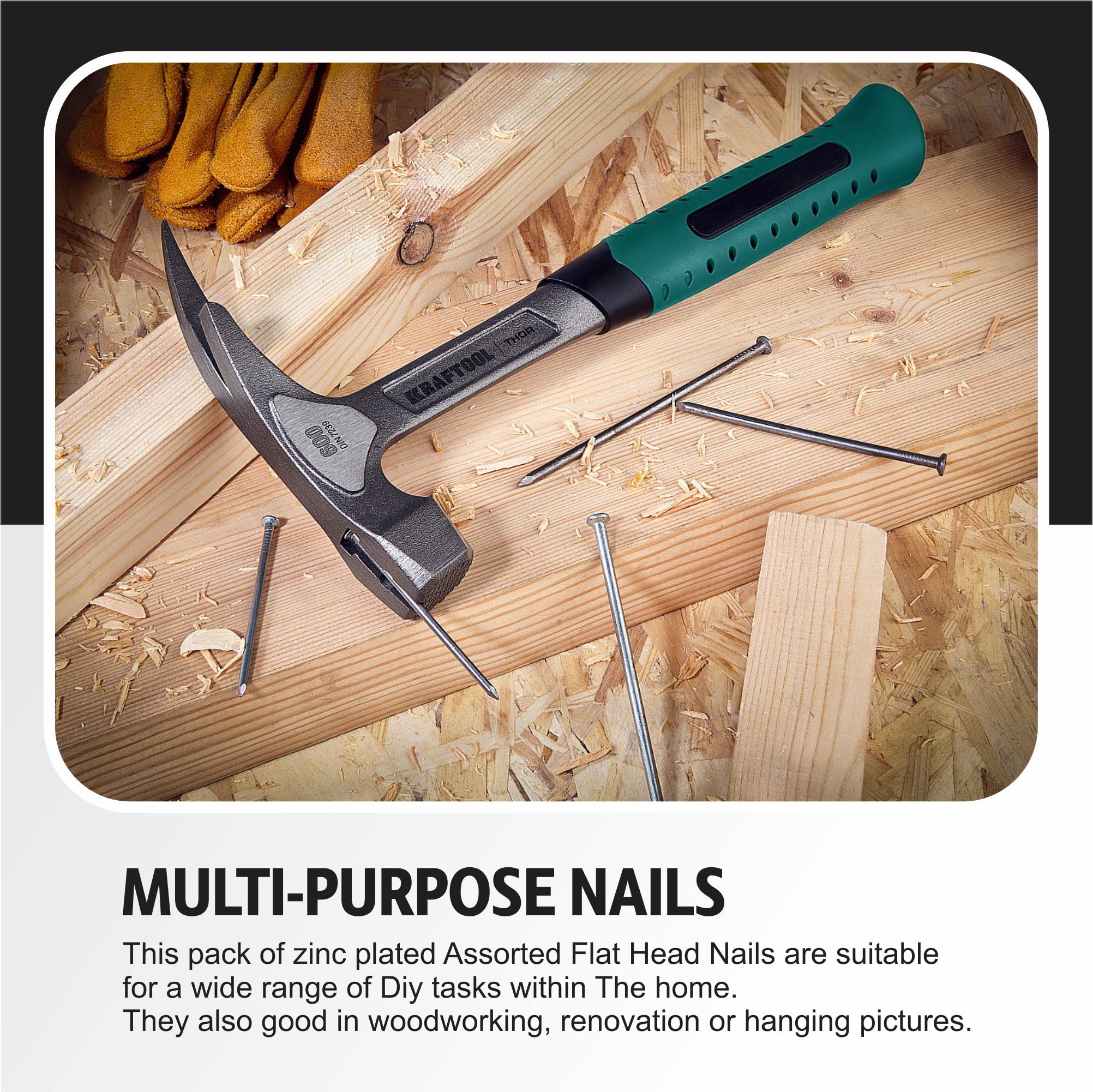 250-Piece Assorted Masonry Nails Set - Heavy Duty Construction Nails for DIY, Woodworking, Hanging Pictures & Home Repair - Ideal for Frames, Mirrors, Furniture & Crafts (250 Count) - Perfect for Home Improvement Projects & Professional Use