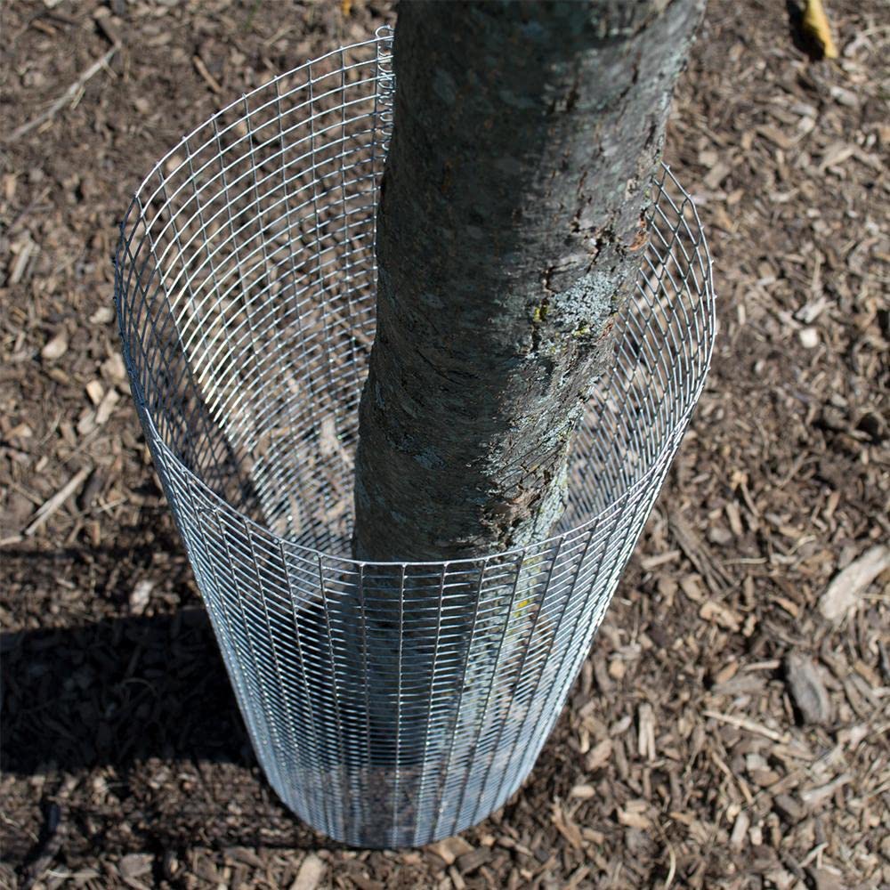 1/2 Inch Galvanized Chicken Wire Mesh Roll - 19 Gauge 36