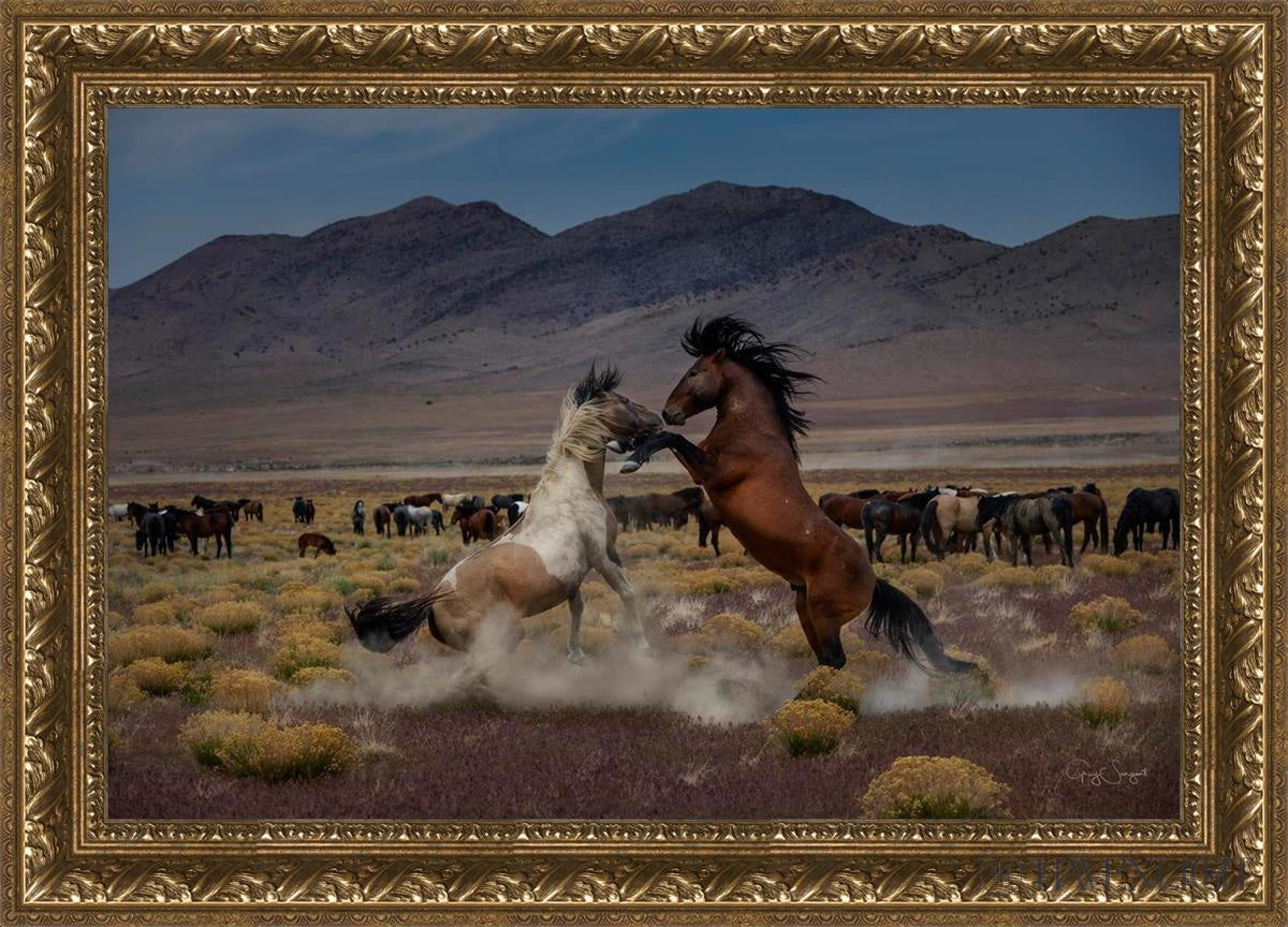 Desert Duel 5 by Greg Sargent - Western Action Novel - Perfect for Book Clubs & Cowboy Adventure Fans