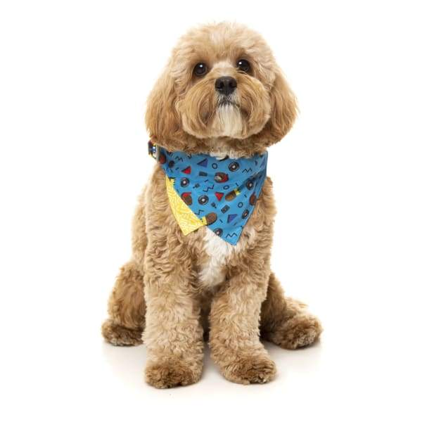 Fuzzyard Kings of Gold School Pet Bandana for Dogs - Adjustable 2 Sizes (Small & Large) - Premium Cotton Blend Dog Accessory for School Spirit, Pet Fashion & Special Occasions