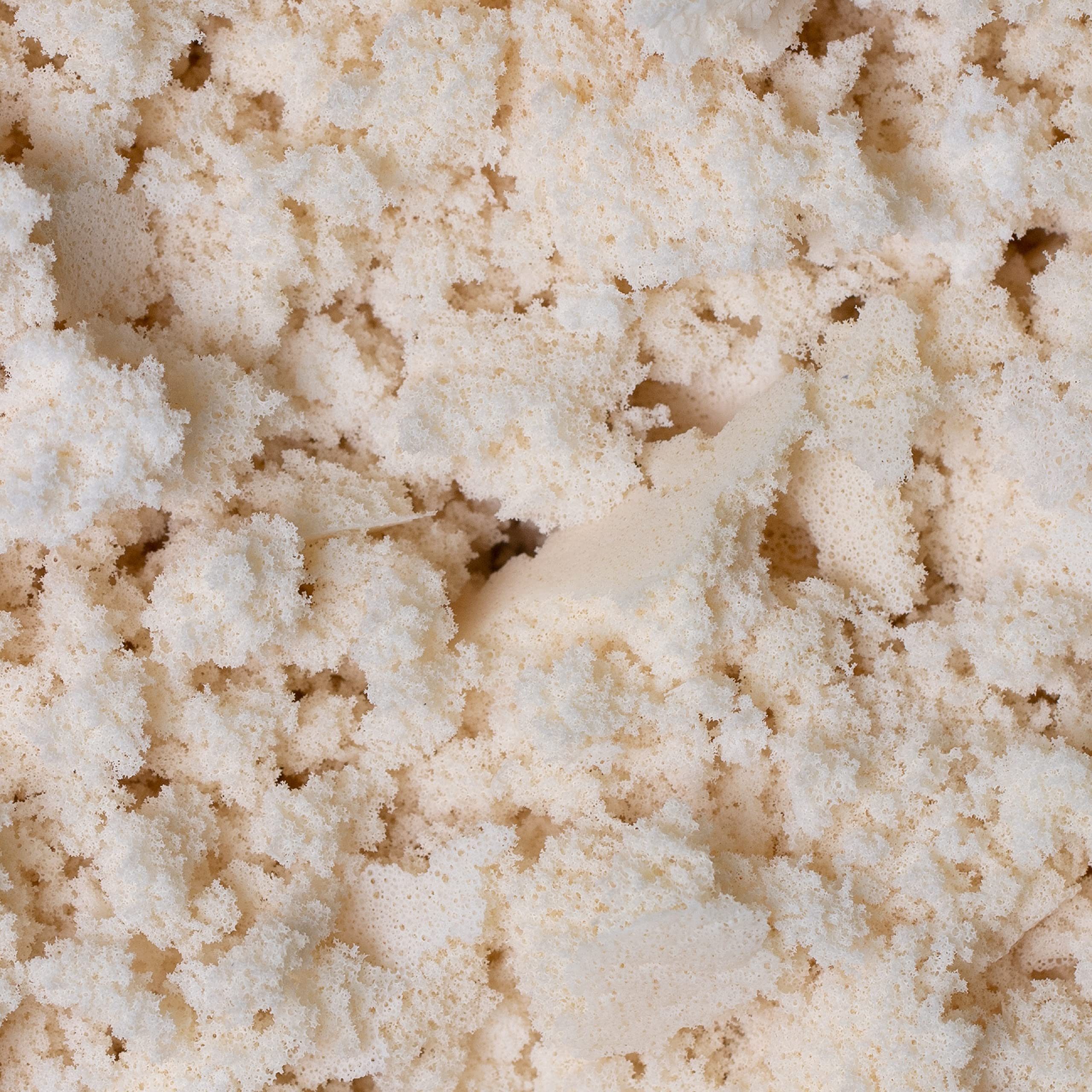 10 lb All Natural Shredded Latex Foam - Eco-Friendly Recycled Filling for Bean Bags, Pet Beds & Pillows - Made in USA, Chicago - Perfect for Home Decor, Furniture Refill & DIY Craft Projects