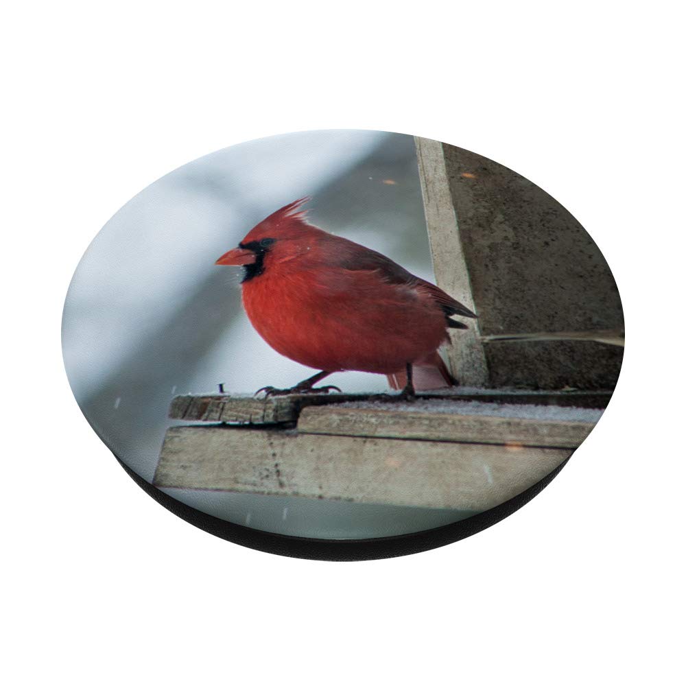 Red Cardinal Bird Gift - Good Luck Charm for Home Decor, Garden Ornament & Spiritual Blessing | Perfect for Christmas, Birthday & Housewarming Presents