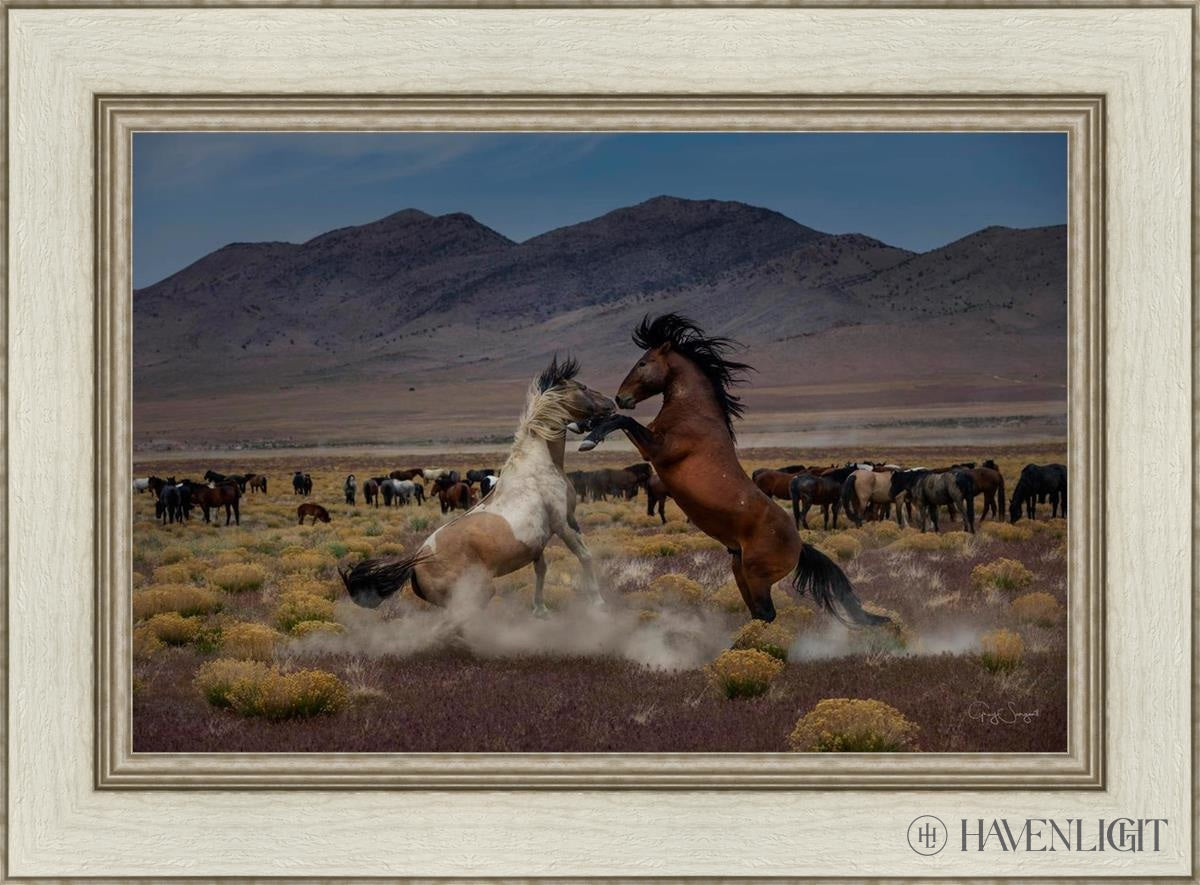 Desert Duel 5 by Greg Sargent - Western Action Novel - Perfect for Book Clubs & Cowboy Adventure Fans