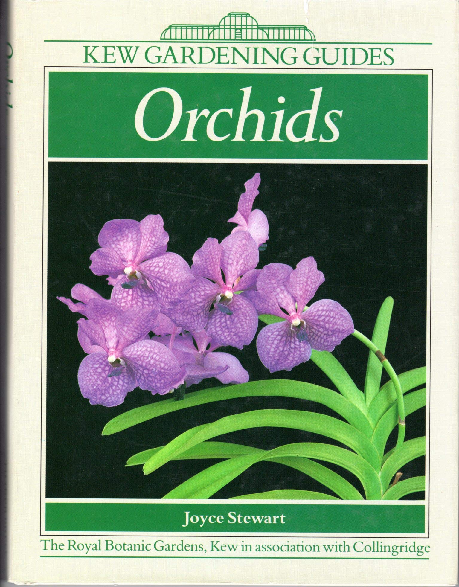 Orchids: A Kew Gardening Guide - Expert Tips for Growing & Caring for Orchids at Home | Indoor & Outdoor Gardening