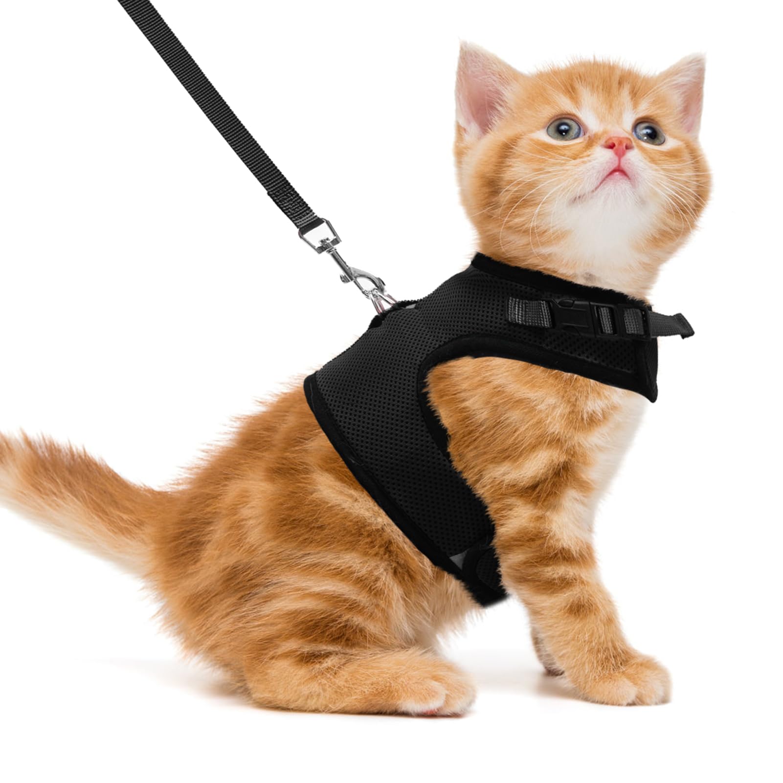 PUPTECK Soft Mesh Cat Vest Harness and Leash Set - Escape Proof Padded Pet Harness for Small Dogs, Cats, Rabbits & Bunnies (Small, Black) - Perfect for Walking, Training & Outdoor Adventures