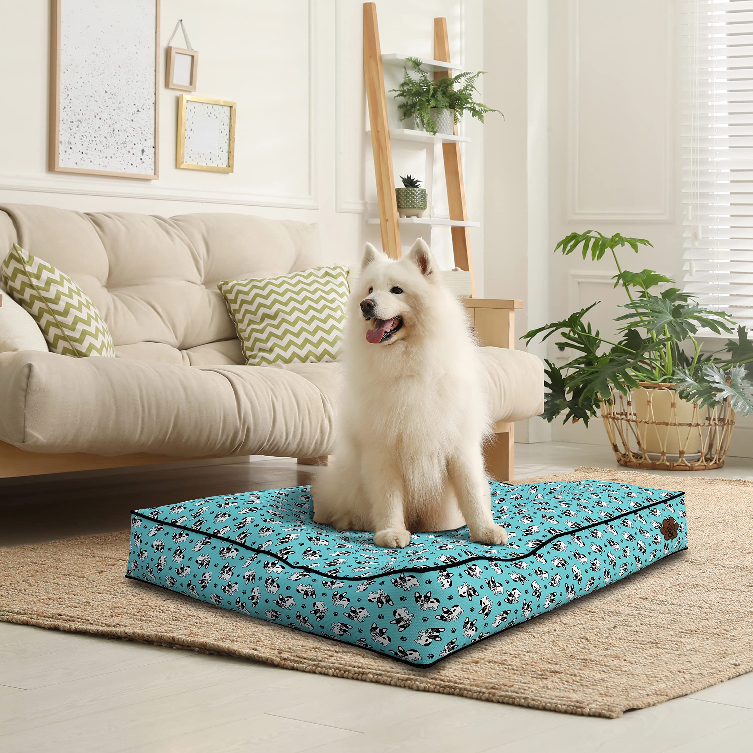 Premium Orthopedic Dog Bed for Large, Medium & Small Dogs - Soft Pet Mattress with Removable Washable Cover, Waterproof & Non-Slip Bottom - Ideal for Crates, Kennels & Home Use (Grey Plush, Small)