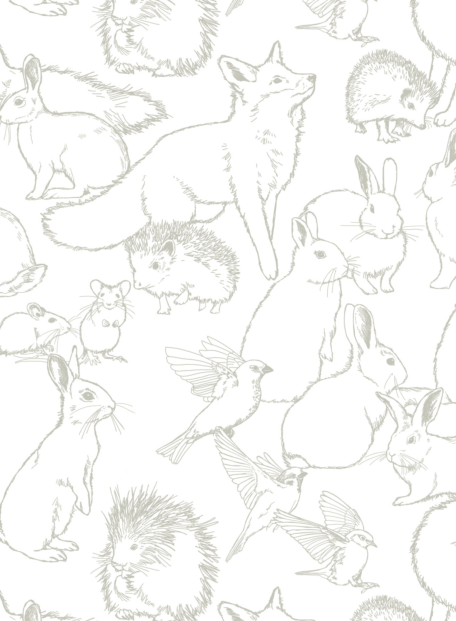 Spruce