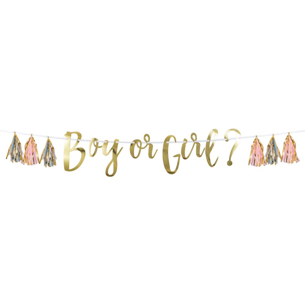 Gender Reveal Party Decor - Pink, Blue & Gold Tassel Banner for Baby Shower, Birthday Celebration & Nursery Decoration