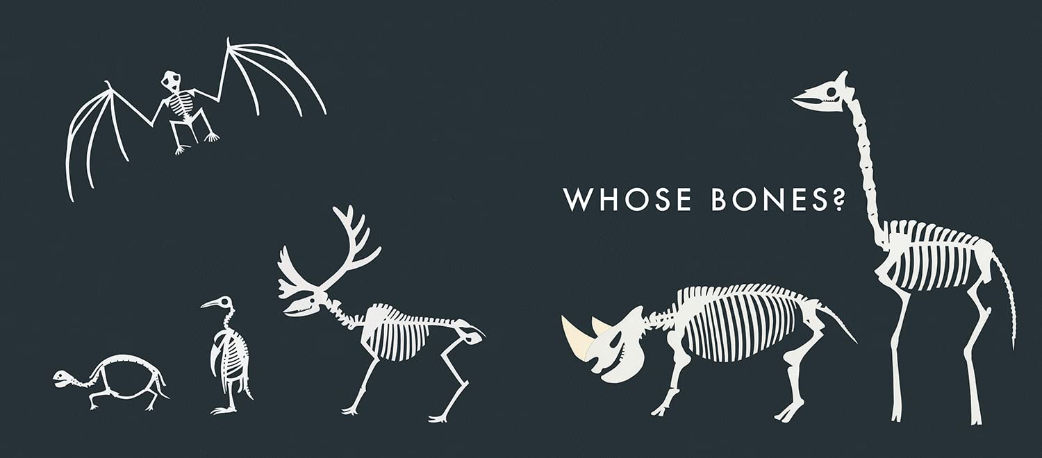 Whose Bones Are These? - Fun Educational Skeleton Puzzle for Kids - Perfect for Halloween Decor & Science Classroom Learning