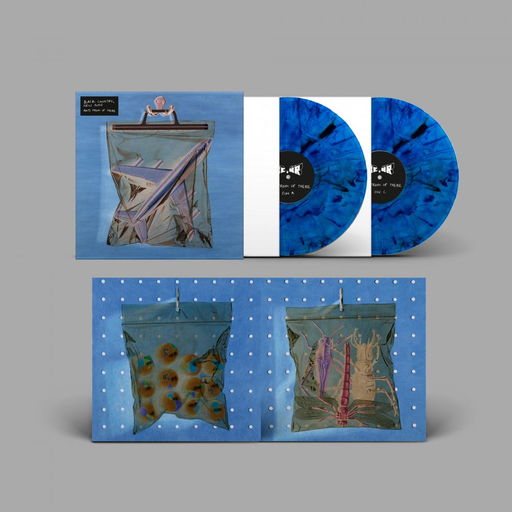 Black Country New Road - Ants From Up There Vinyl LP | Indie Rock Album | Perfect for Home Listening & Music Collectors