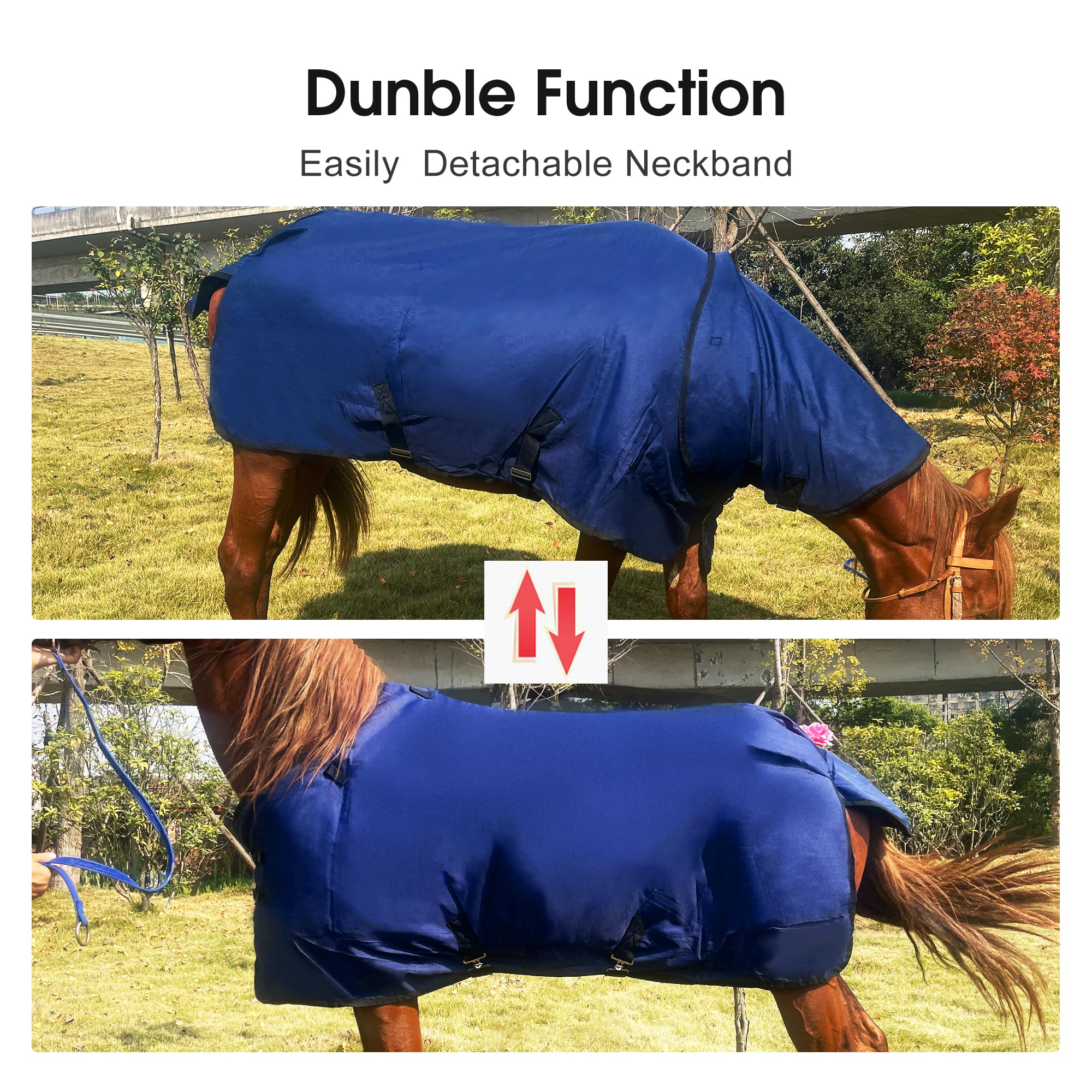Premium 1200D Winter Waterproof Horse Blanket - Detachable Neck Cover, 220g Warm Cotton Filling for Cold Weather | Mid-Weight Equestrian Horseware | Ideal for Stables, Trail Riding & Winter Shows (Blue, 78 Inches)