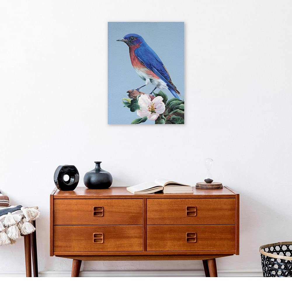 Eastern Bluebird Fine Art Canvas Wall Decor by Artist Carol J Rupp - Ready to Hang 21x28 Inch - Perfect for Living Room, Bedroom, Office & More - Nature Inspired Home Decor for Relaxing Spaces