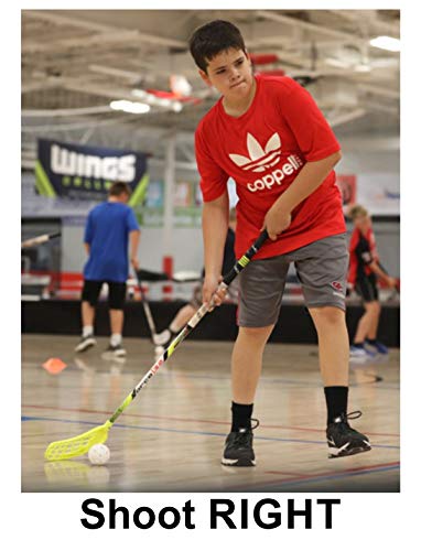3-Stick Home Floorball Set by Wooloc - Indoor & Outdoor Hockey Game for Kids & Adults - Perfect for Backyard, Gym & Family Fun
