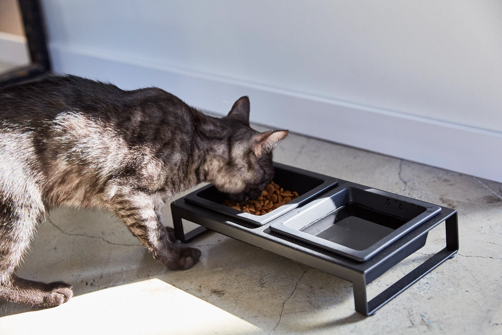 Premium Elevated Pet Food Bowl for Dogs & Cats - Adjustable Height, Non-Slip Base - Perfect for Mealtime Comfort & Joint Health - Ideal for Home, Travel & Vet Visits