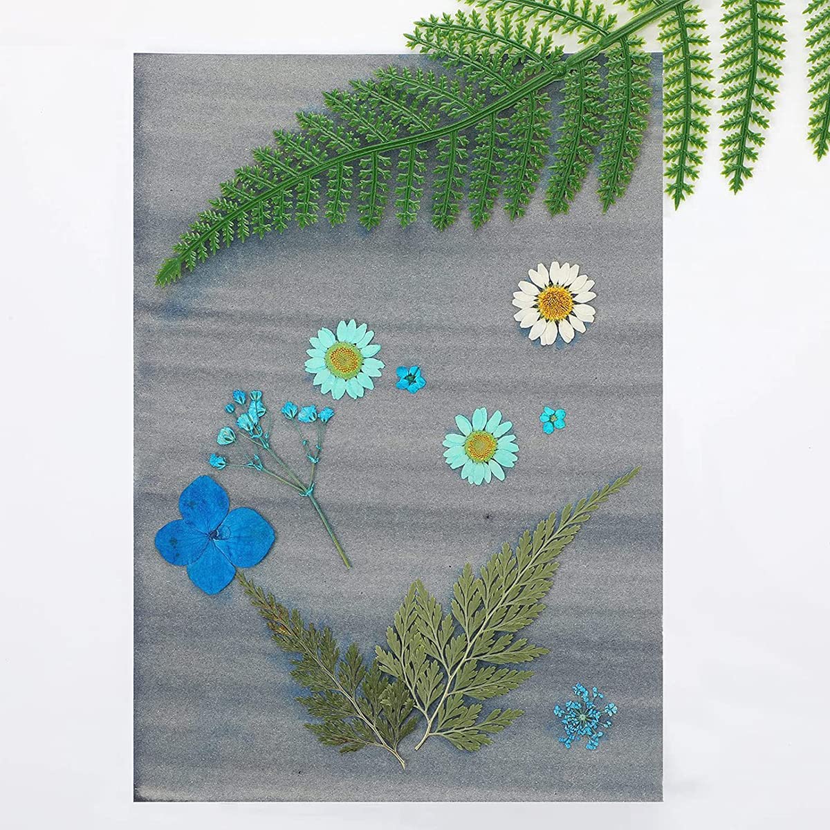 32 Pcs Sun Print Paper Kit - A5 5.8 x 8.3 Inch Solar Sensitive Paper for Nature Printing, Sun Art & DIY Crafts | Perfect for Kids & Adults Creative Projects, Outdoor Activities, Science Experiments & Botanical Art