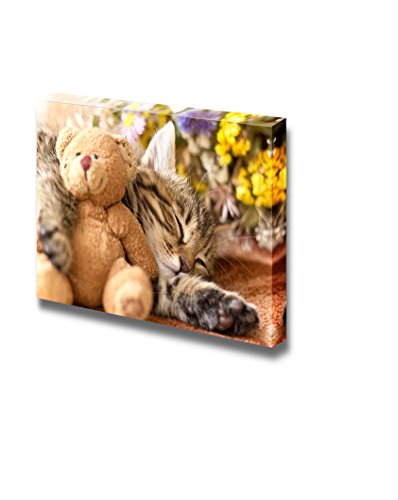 Little Cat