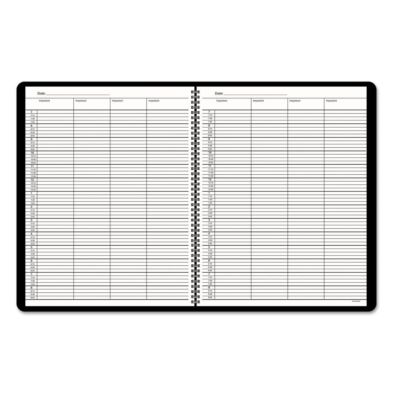 AT A GLANCE® 2024 Undated Daily Planner - 12 Month Appointment Book for 4 People (January to December), 10.88
