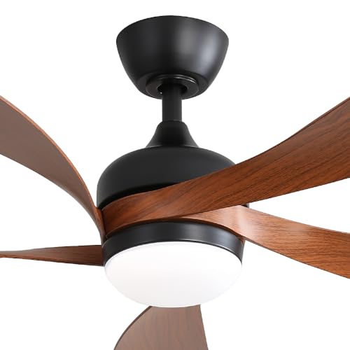 1-Brown Blades& Black Body