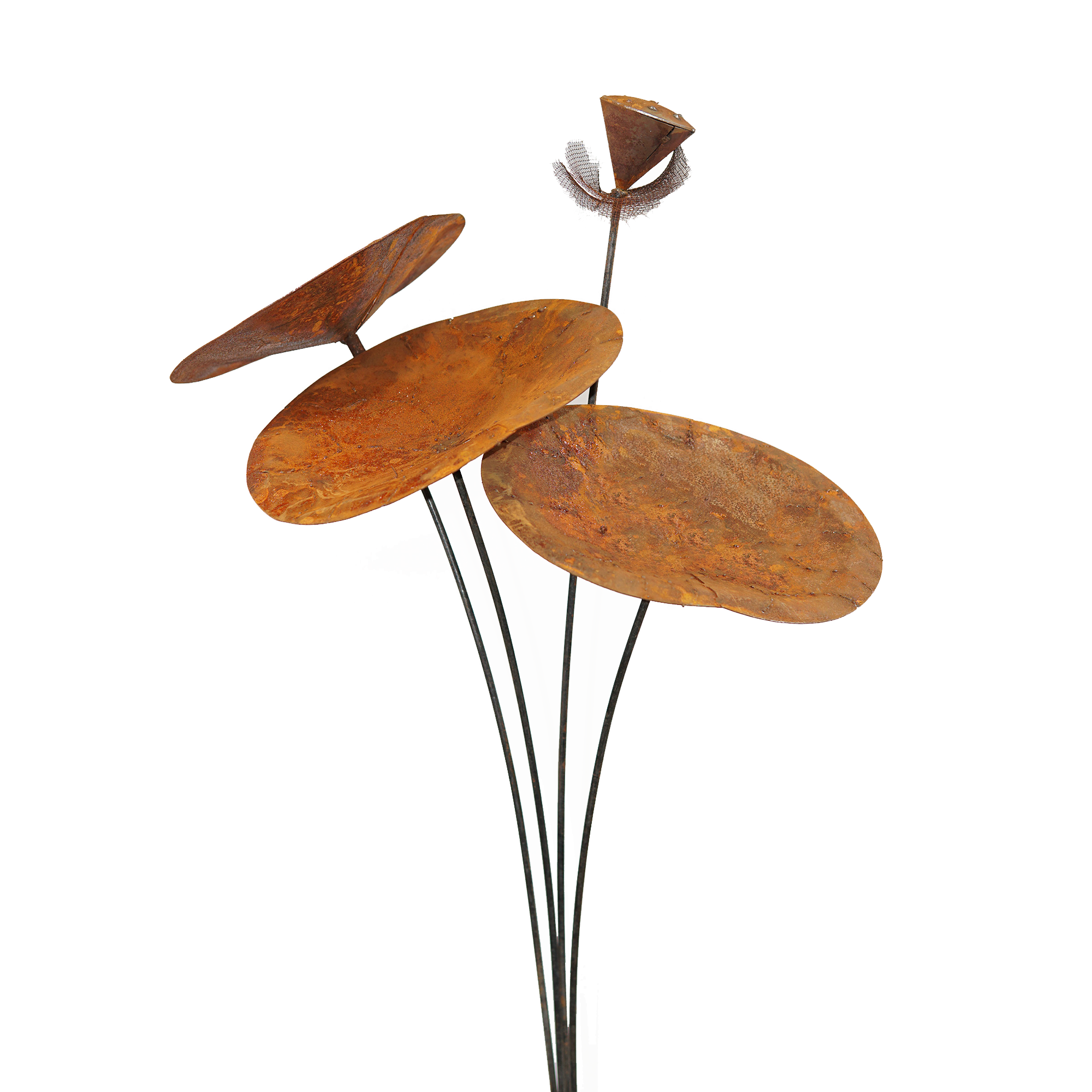 Lotus Leaf Stake W3320B - Durable Garden Plant Support for Outdoor Flowers, Vegetables & Vines - Perfect for Home Gardening, Backyard Landscaping & DIY Plant Projects