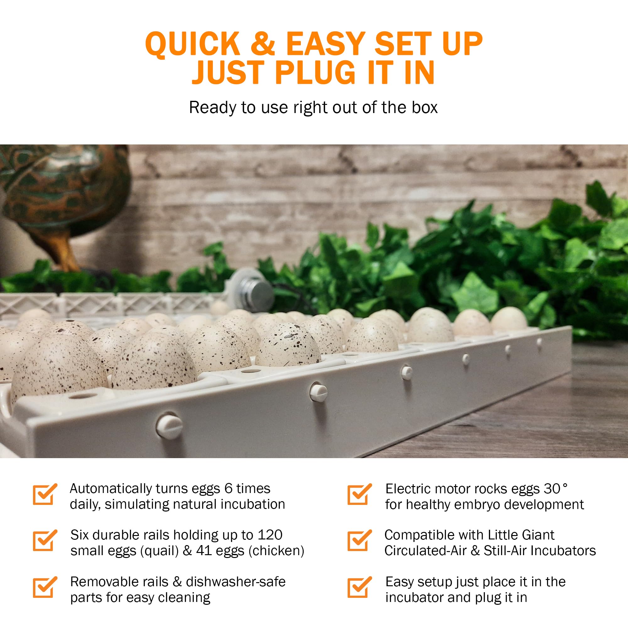 Little Giant Automatic Egg Turner 6300 with Quail Rails - Automatic Egg Rotator for Chicken, Duck & Quail Eggs - Perfect for Incubators & Poultry Farming